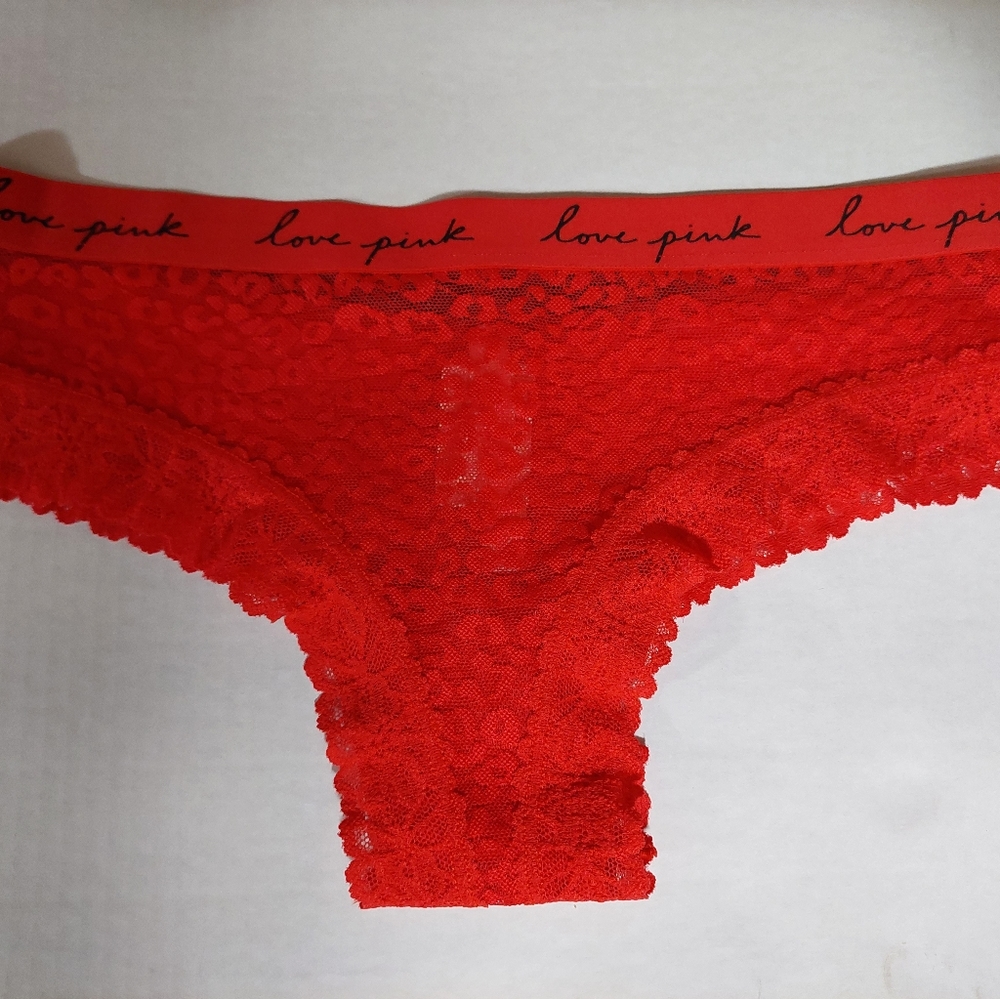 Victoria's Secret PINK Lace Cheeky Bikini Panties Underwear Medium NWT